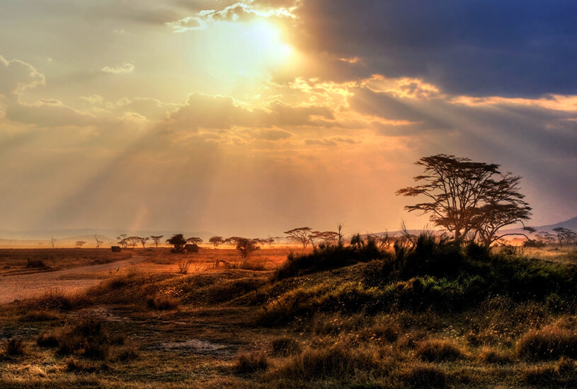 Serengeti, Kenya and Tanzania